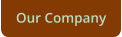 Our Company
